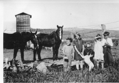 Kids & animals on Dowdell Lane